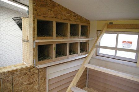 10872_nests_inside.jpg