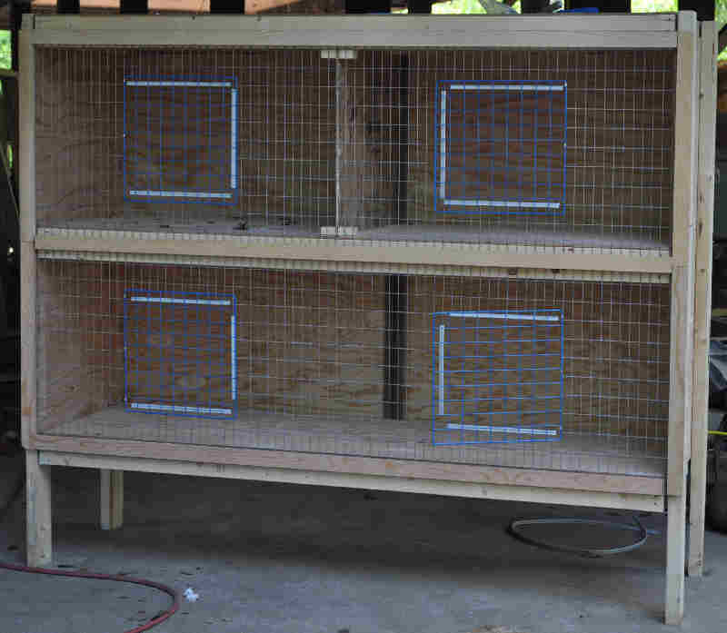 10901_cage.jpg