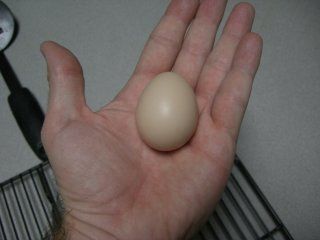 10913_cimg8542.jpg