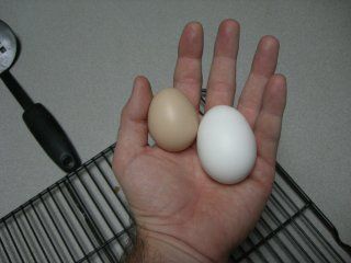 10913_cimg8544.jpg