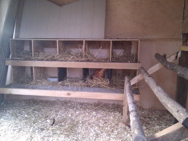 109143_nesting_box_med.jpg