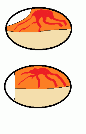 109376_eggsample.png