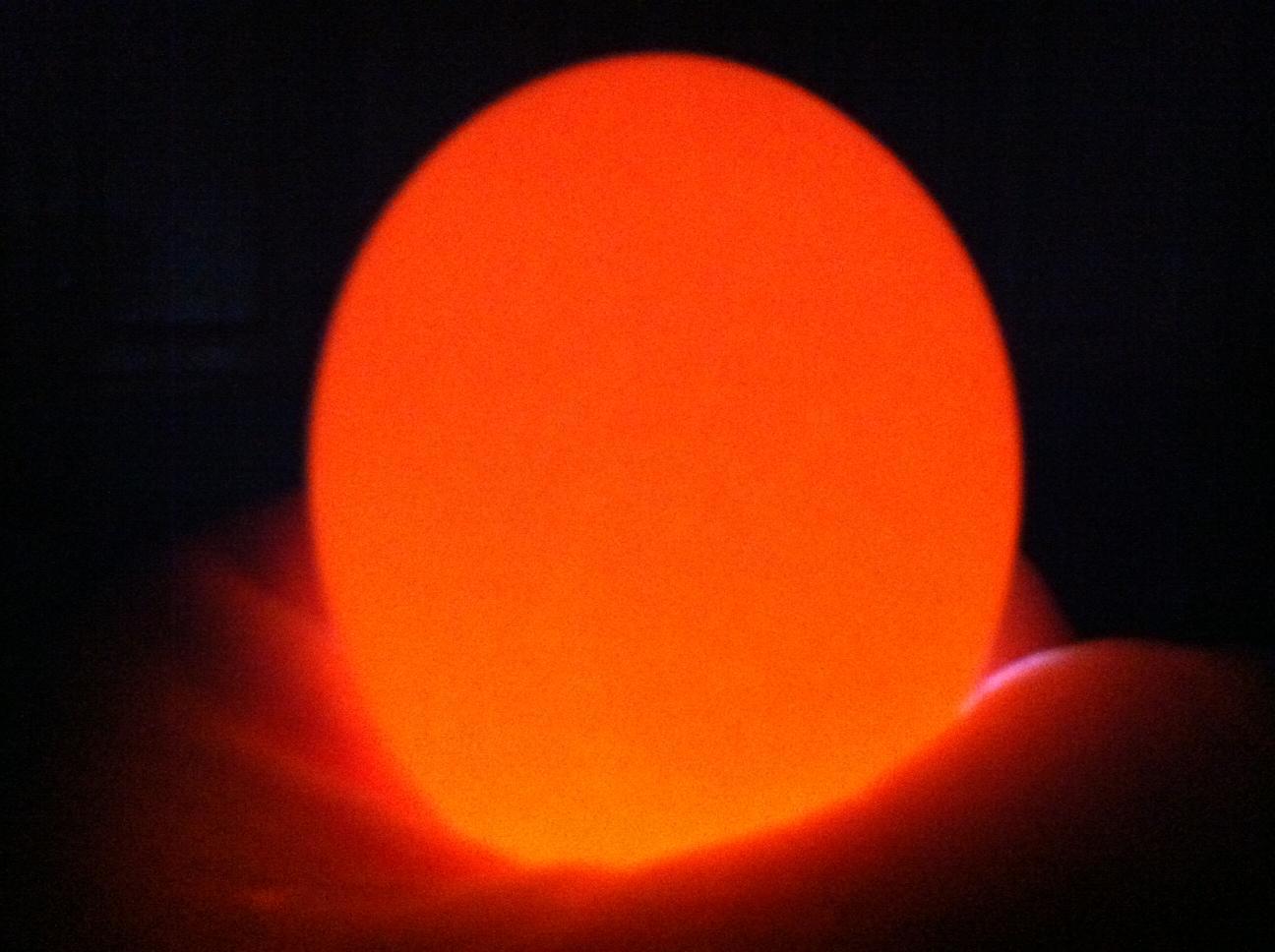 109472_egg_101a.jpg