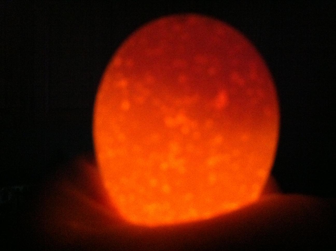 109472_egg_101b.jpg