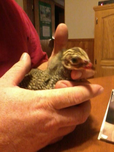 109609_photo1174.jpg