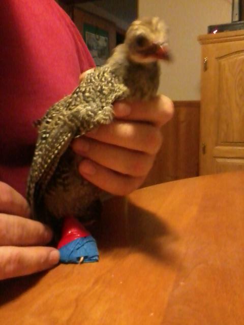 109609_photo1177.jpg