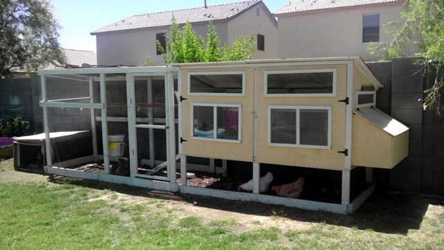 109648_coop.jpg