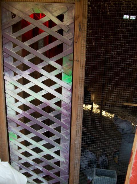 110232_100_2717.jpg