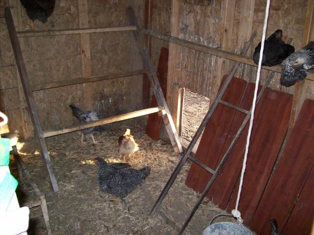 110232_100_2725.jpg