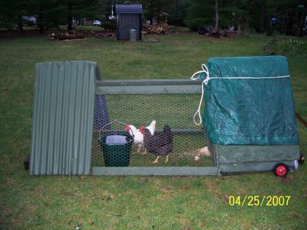 1103_chicken_tractor.jpg