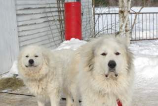 11040_winter_09_113.jpg