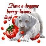 11044_dog-berry-licious-glitter-thumbgif.jpeg