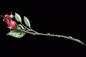 11044_thank_you_rose.gif