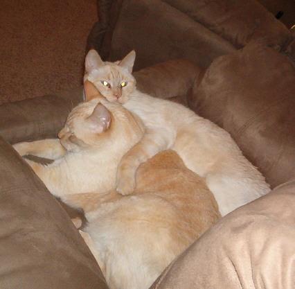110636_brothers1.jpg