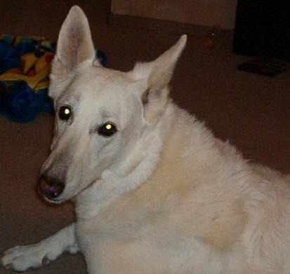 110636_chobbers.jpg