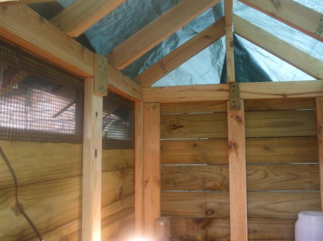 11070_dscf0728.jpg