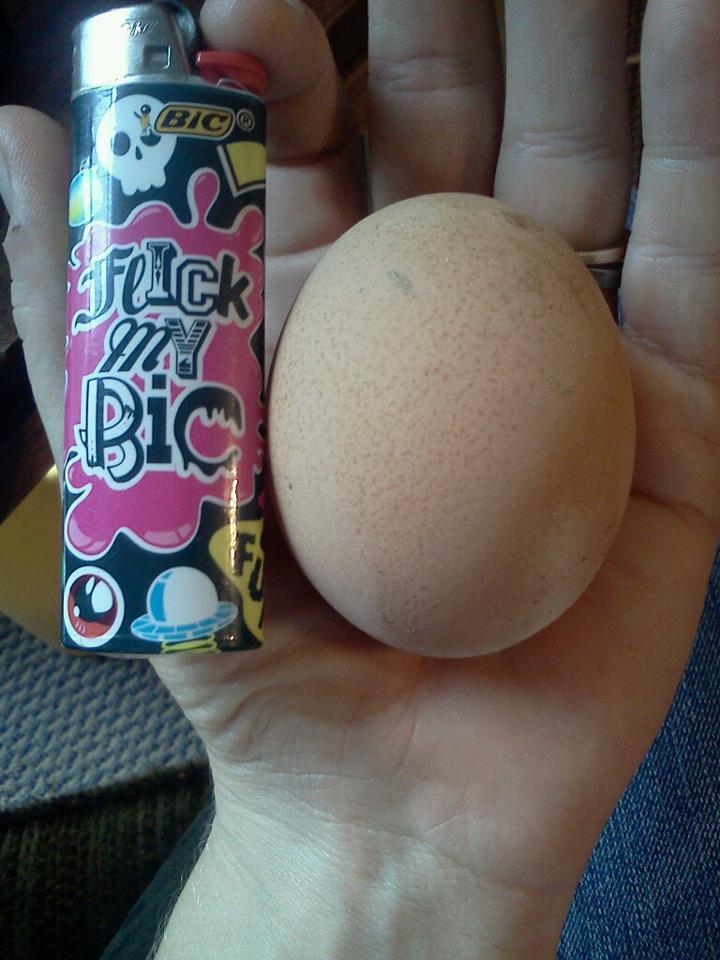 110798_myfirstegg.jpg