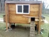 111212_dec29_006.jpg