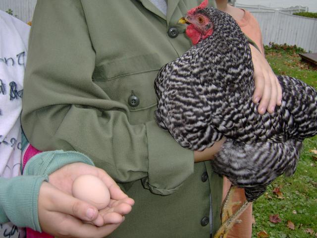 11121_hpim1502.jpg