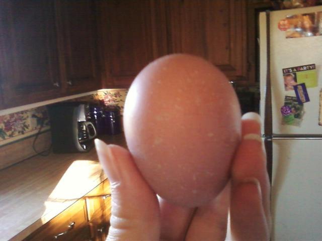 111265_firstegg.jpg