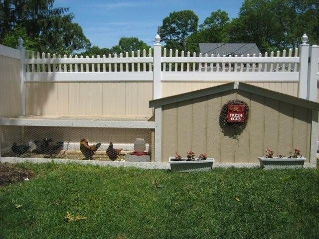 11146_chickencoop2_001.jpg