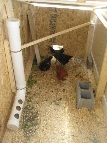 11146_chickencoop2_003.jpg