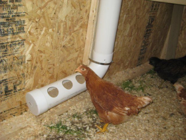 11146_chickencoop_11.jpg