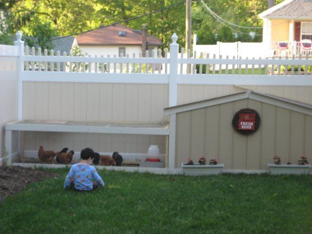 11146_chickencoop_3.jpg