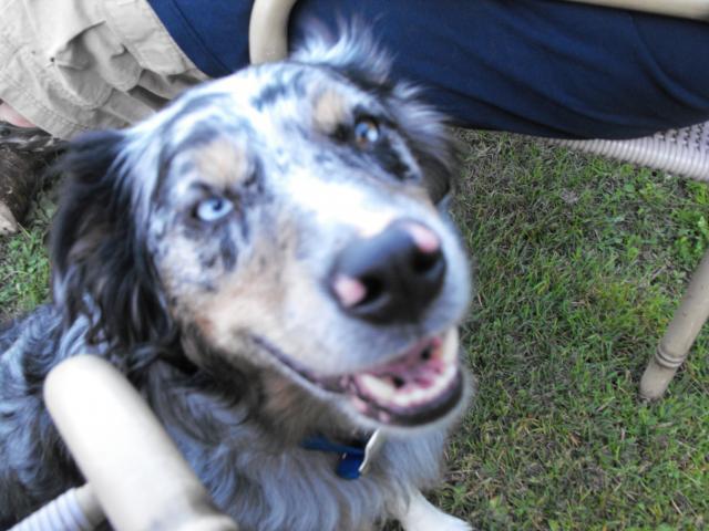 11164_2009_06270280.jpg