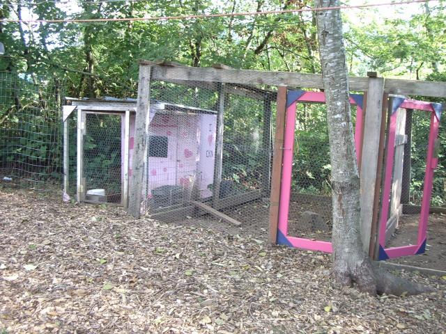 11170_a_little_love_shack.jpg