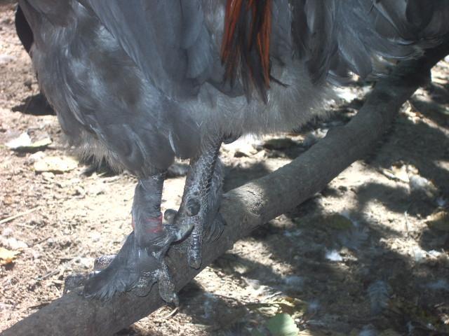 11170_imgp7738.jpg