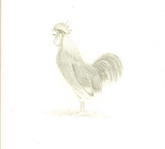 11170_lokidrawing.jpg