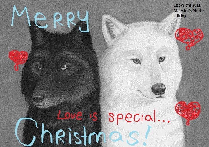 112209_cool_wolfies.jpg