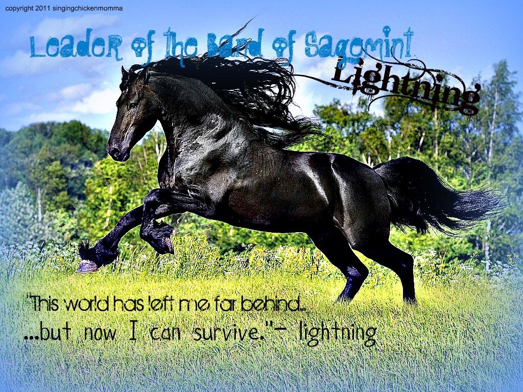 112209_lightning.jpg