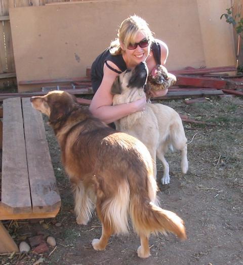 112230_dogs_loco.jpg