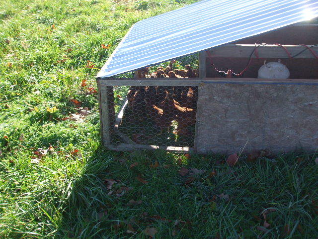 112288_012.jpg