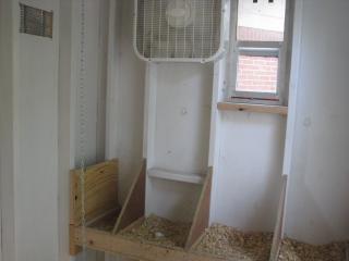 11229_chicken_coop_004.jpg