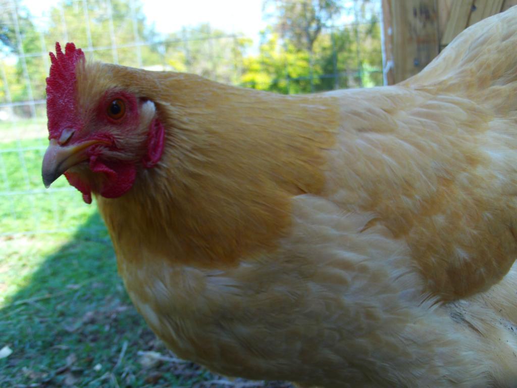 112339_file0172.jpg