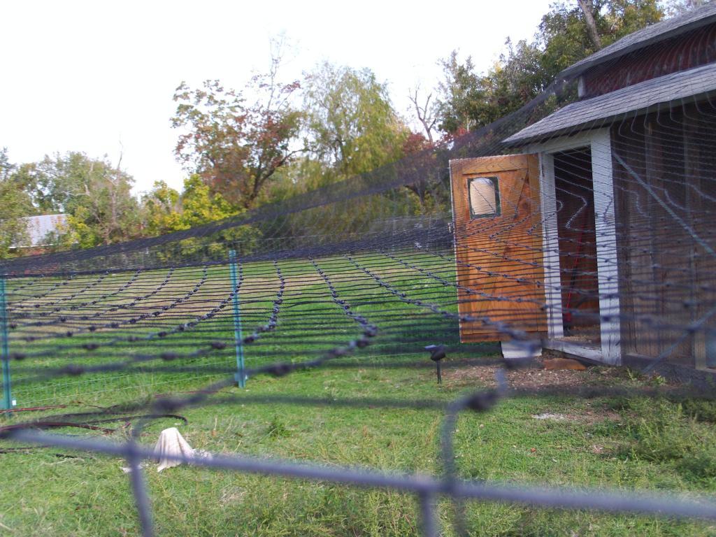 112339_file0199.jpg