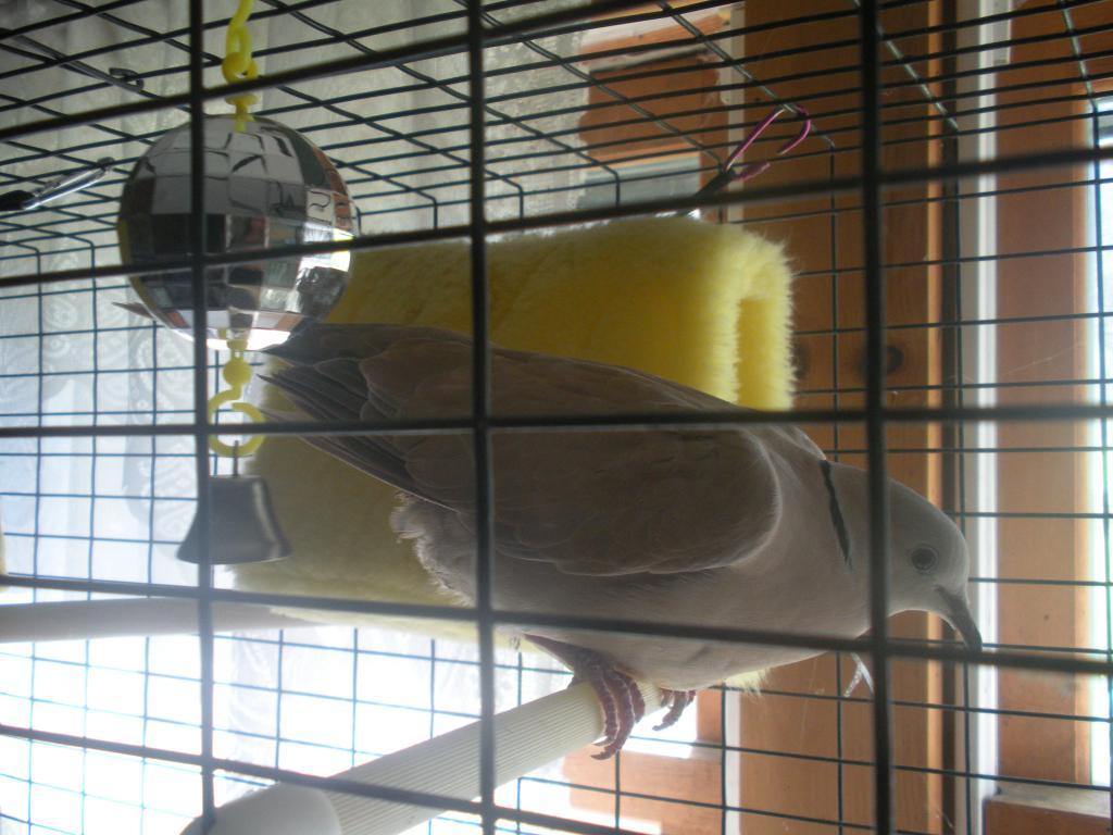 112581_avery.jpg