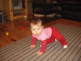 11325_gussie_3-23-10_005.jpg
