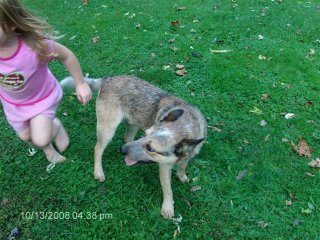 11413_hpim0520.jpg