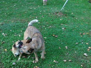 11413_hpim0523.jpg