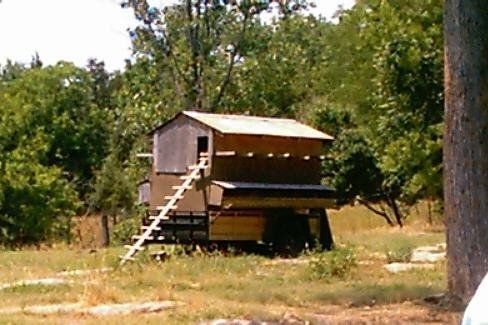 11460_my_travelin_chicken_house.jpg