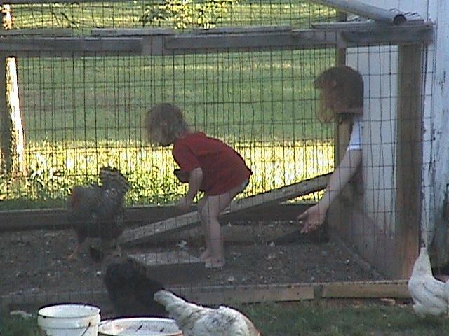 11470_dsc01565-0.jpg
