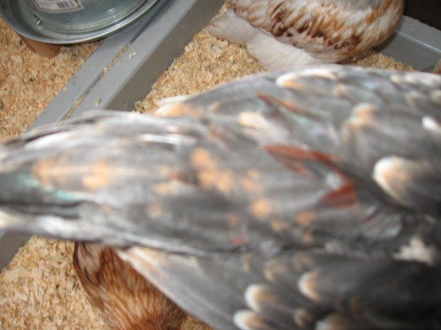 11567_post_023.jpg