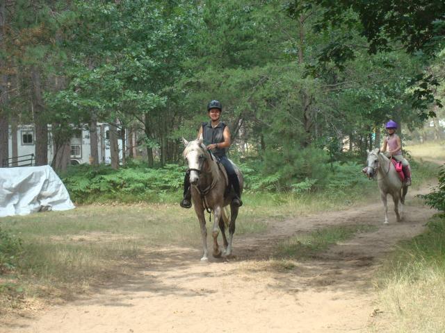 11594_hb2.jpg