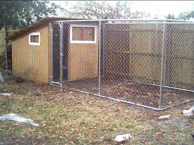 11644_feb16068.jpg