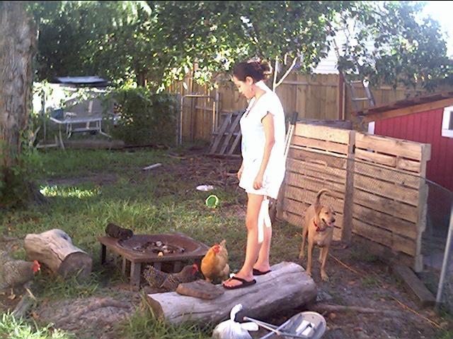 11644_jul27202.jpg