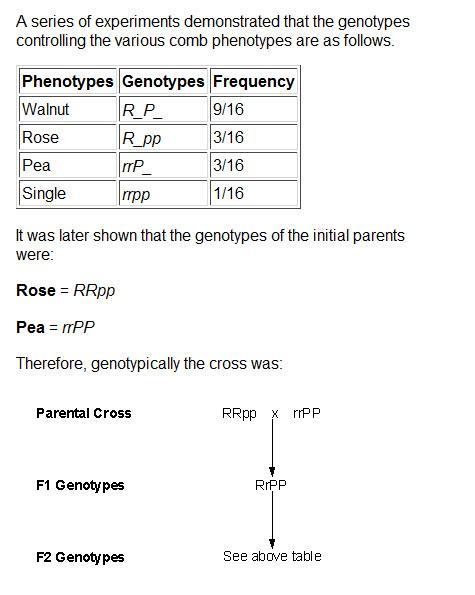 11751_comb_genetics.jpg